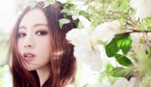 欢迎在宝塔面板安装Z-BlogPHP！